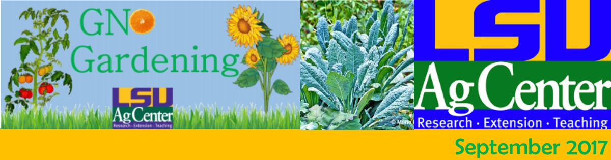 GNO Gardening September 2017 Newsletter